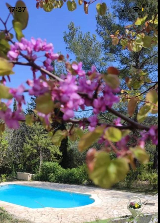 Villa Avec Piscine Au Calme セイヤン エクステリア 写真